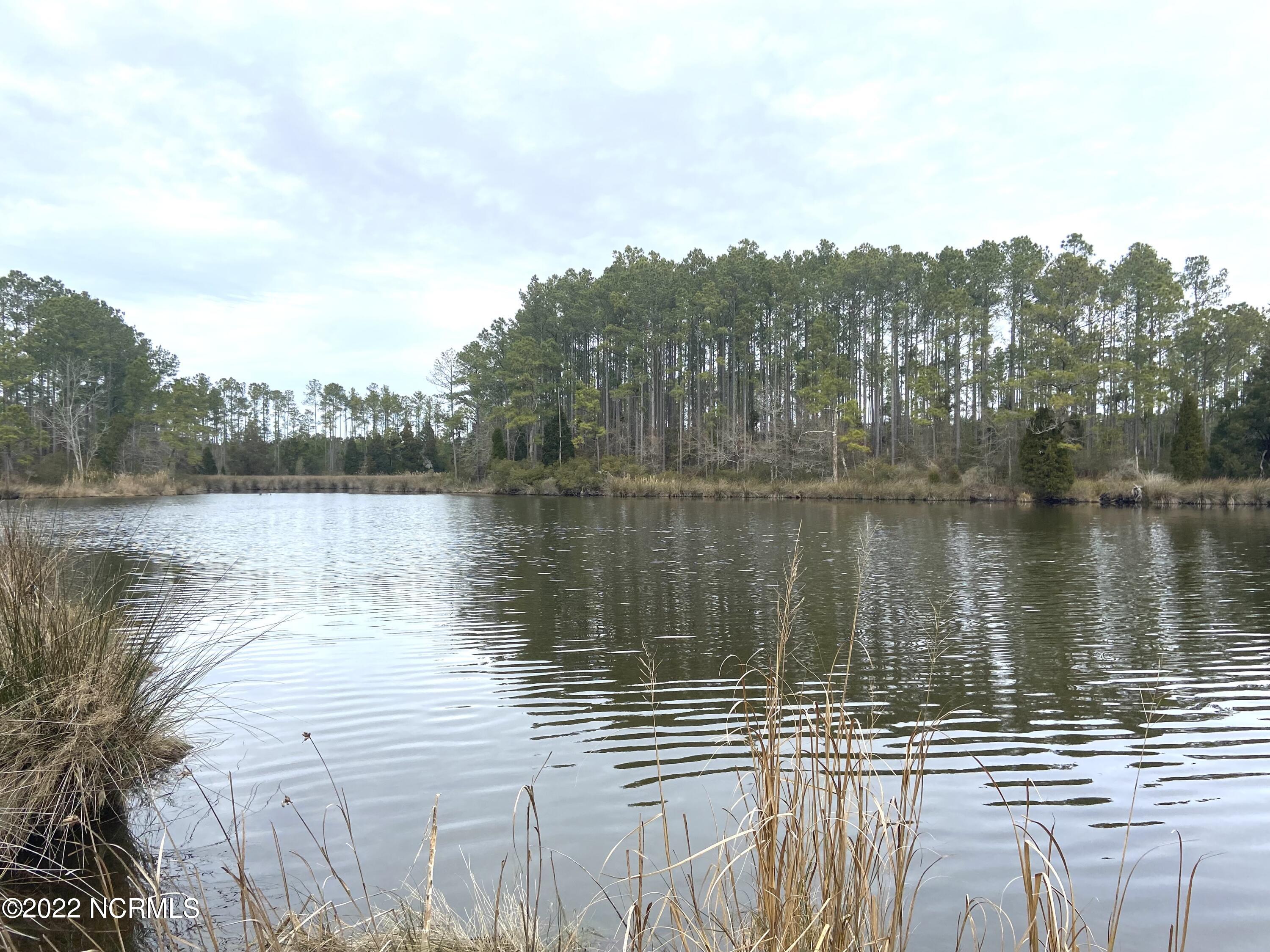 3 Schrams Beach Road Belhaven, NC 27810 - Photo 17 of 17 9F7D8349-F7A8-416A-8C48-D3336DF54DE2
