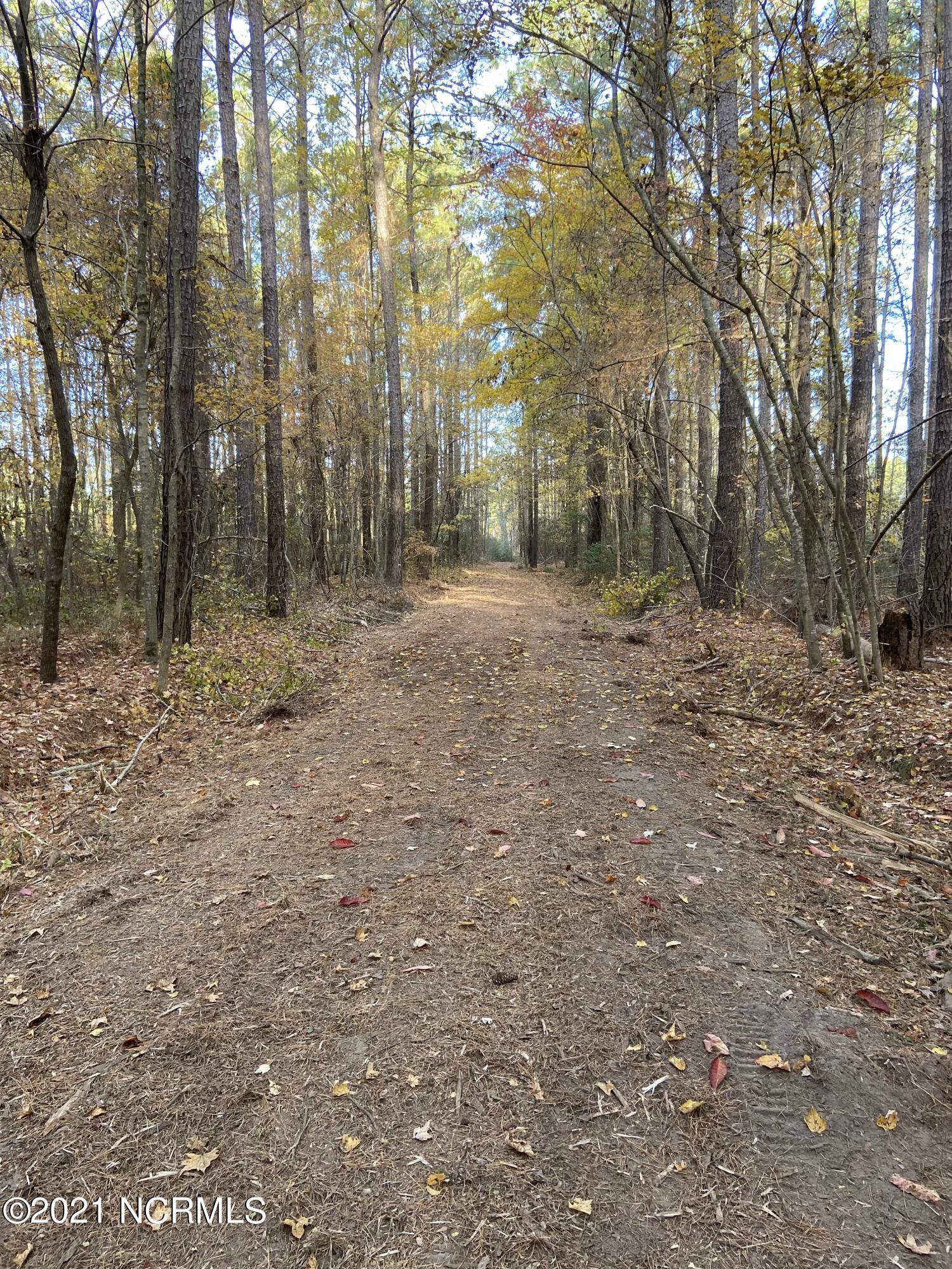 3 Schrams Beach Road Belhaven, NC 27810 - Photo 6 of 17 7D7C490F-8A05-4ED3-BD8A-4324F0BCDCB7