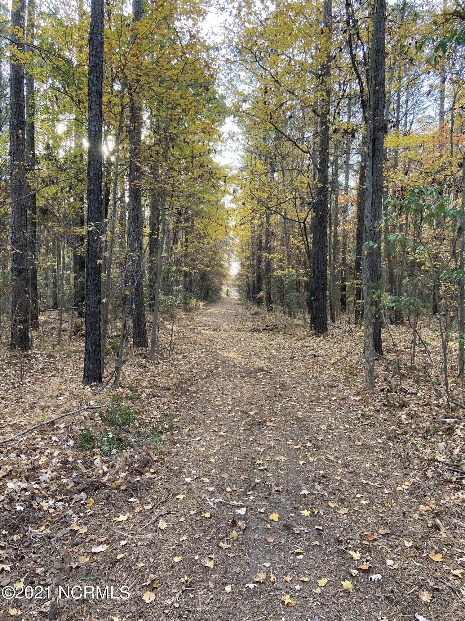 3 Schrams Beach Road Belhaven, NC 27810 - Photo 7 of 17 B0B1F088-6BA1-44D0-B1D6-299A42830D6C
