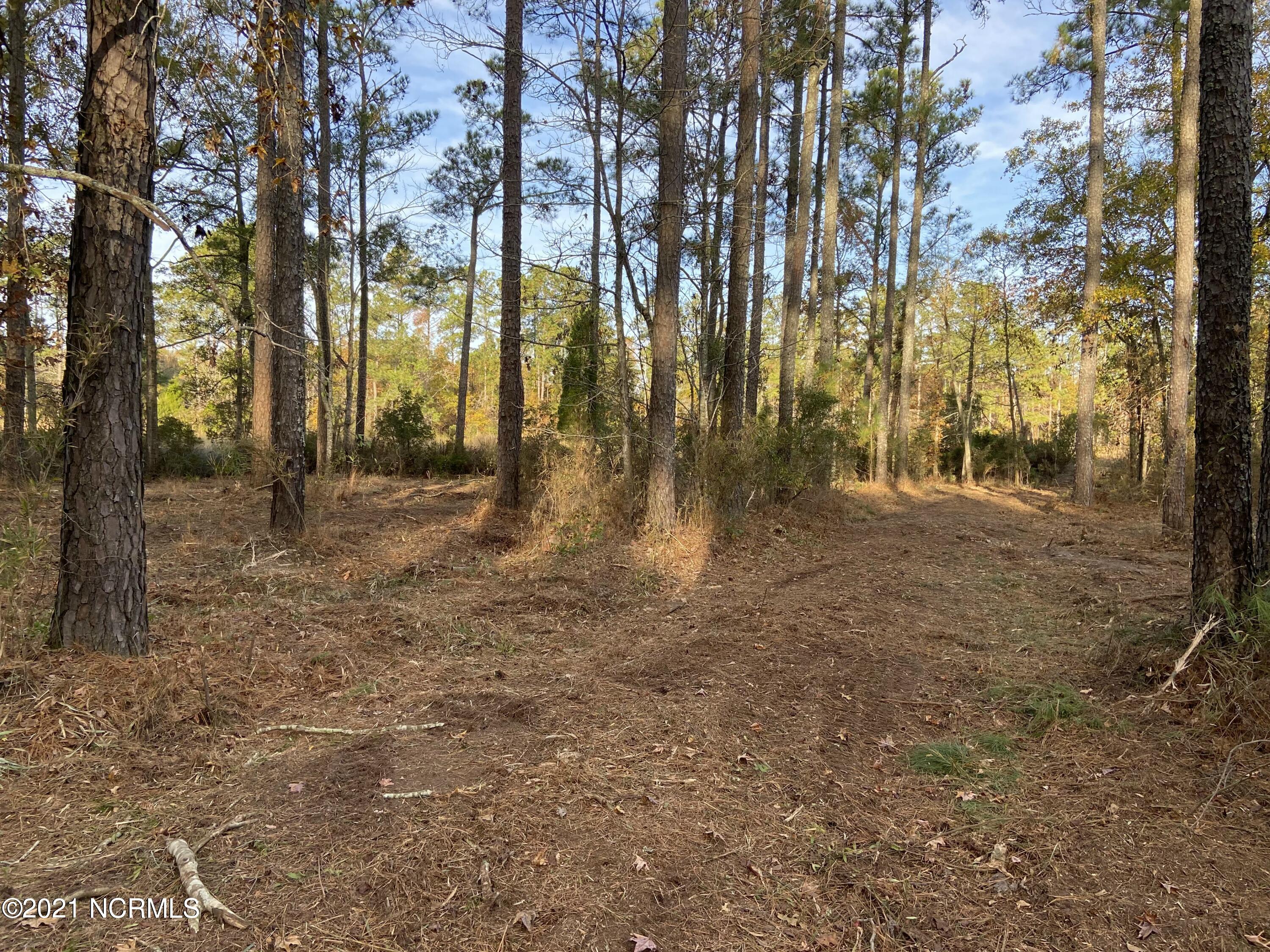 3 Schrams Beach Road Belhaven, NC 27810 - Photo 8 of 17 9CDCE797-A26A-4454-93FE-3591E05AAADE