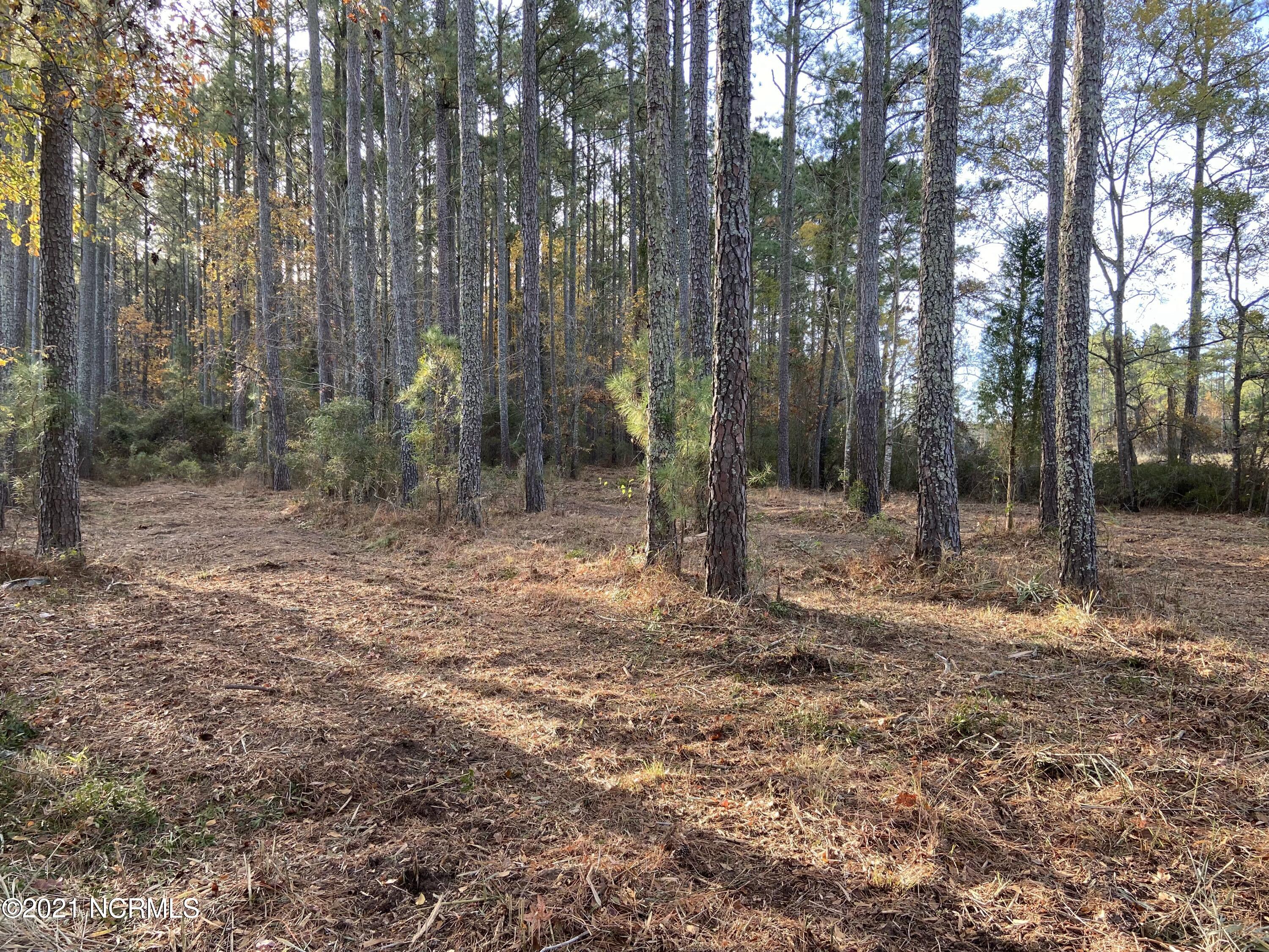 3 Schrams Beach Road Belhaven, NC 27810 - Photo 9 of 17 031E612E-1845-4E31-8F8A-D0E29F4E24C1