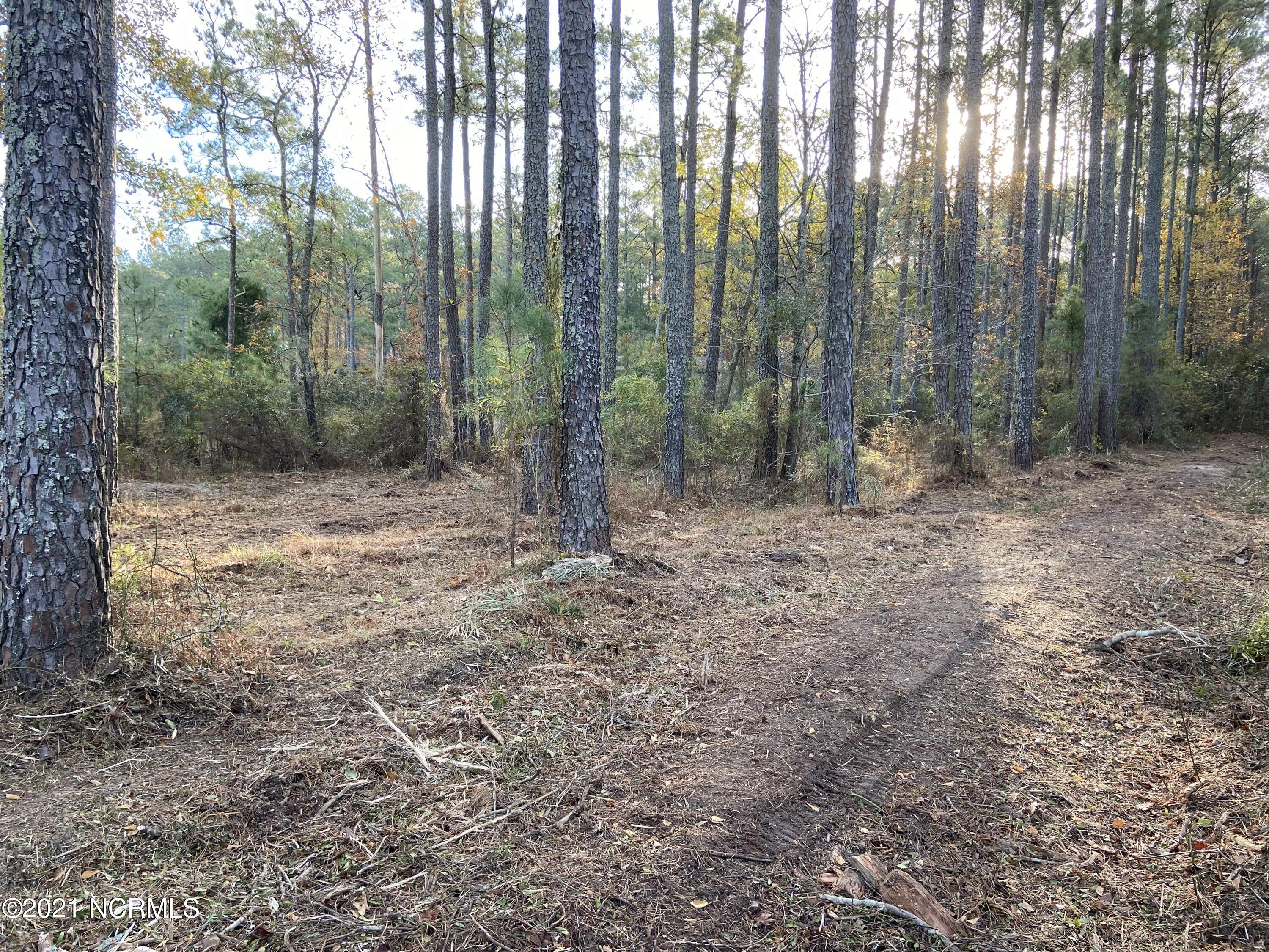 3 Schrams Beach Road Belhaven, NC 27810 - Photo 10 of 17 E65989A6-76F6-4B6A-907D-ED166A1A7DDB