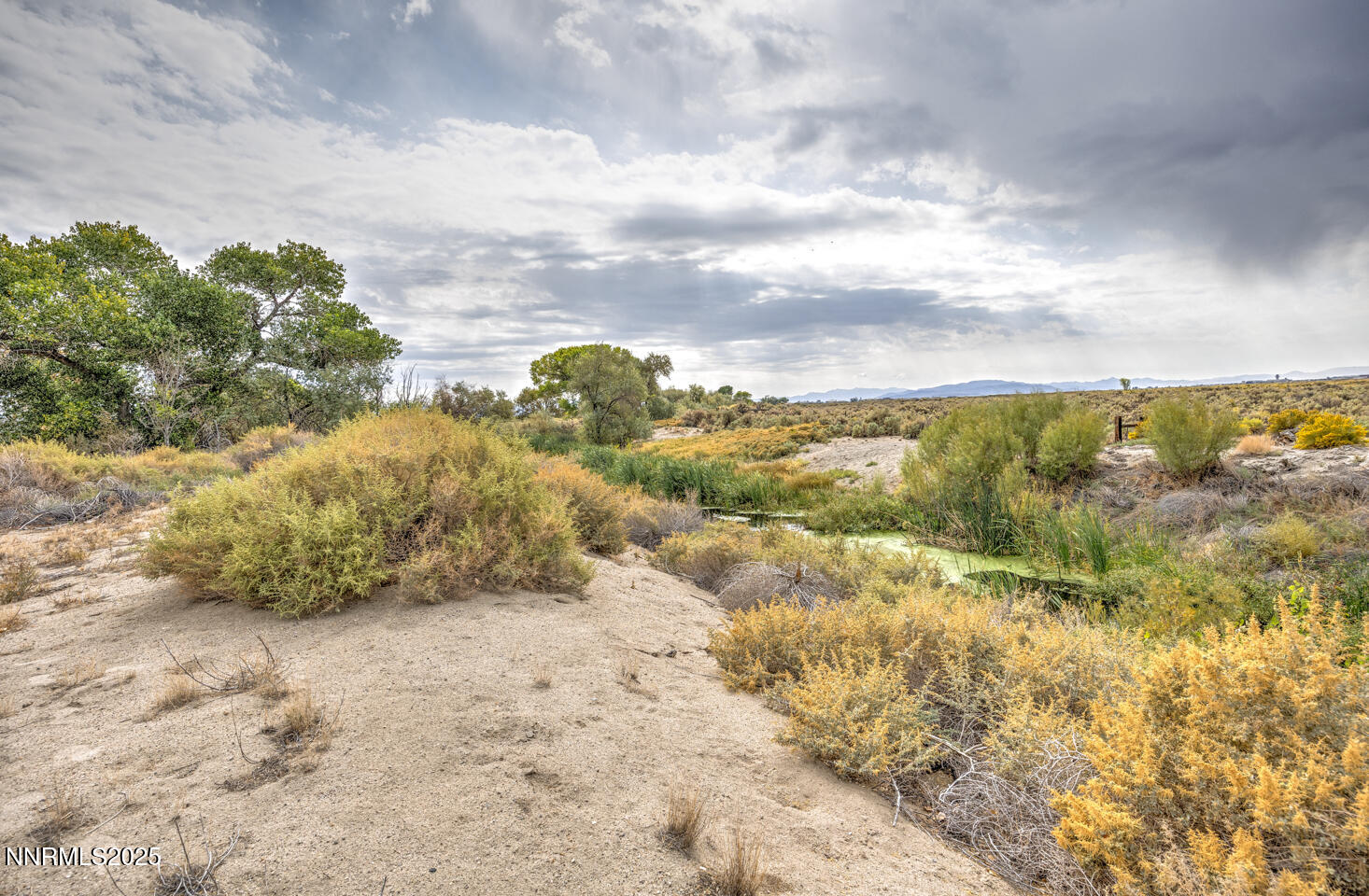 895 Howard Place Fallon, NV 89406 - Photo 5 of 13 a view of a yard with wooden fence