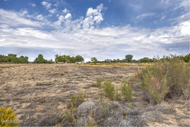 a view of an ocean beach