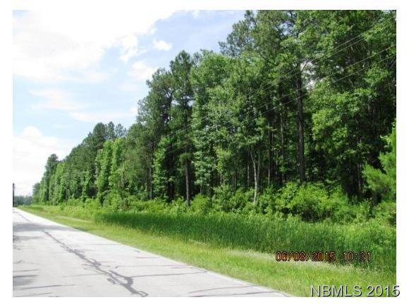 0 Florence Road Merritt, NC 28556 - Photo 2 of 5 Additional Photo