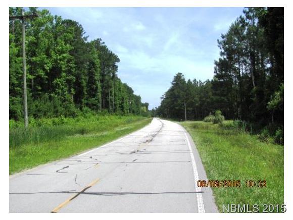 0 Florence Road Merritt, NC 28556 - Photo 3 of 5 Additional Photo