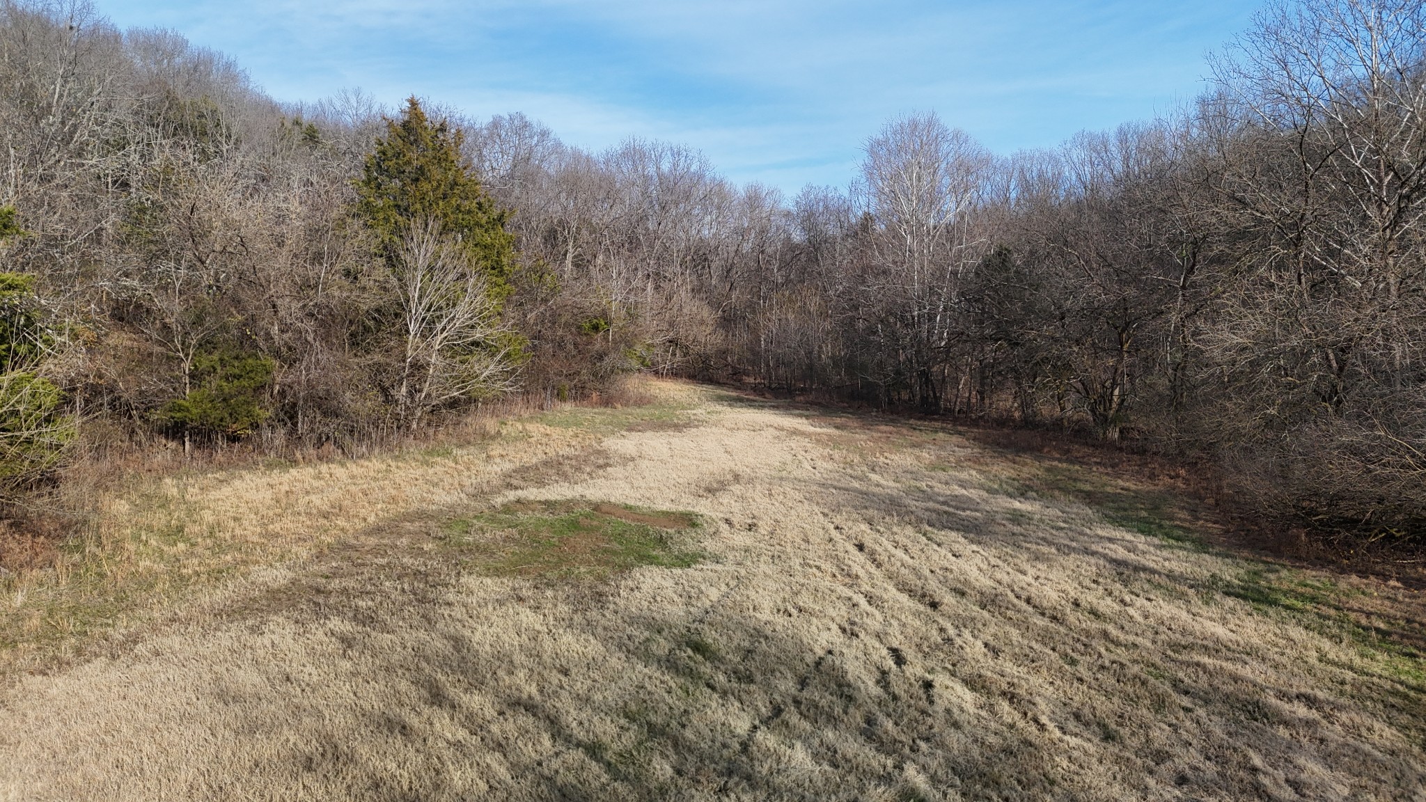 186 Aggie Perry Road Bethpage, TN 37022 - Photo 66 of 83 Gallery Image 66