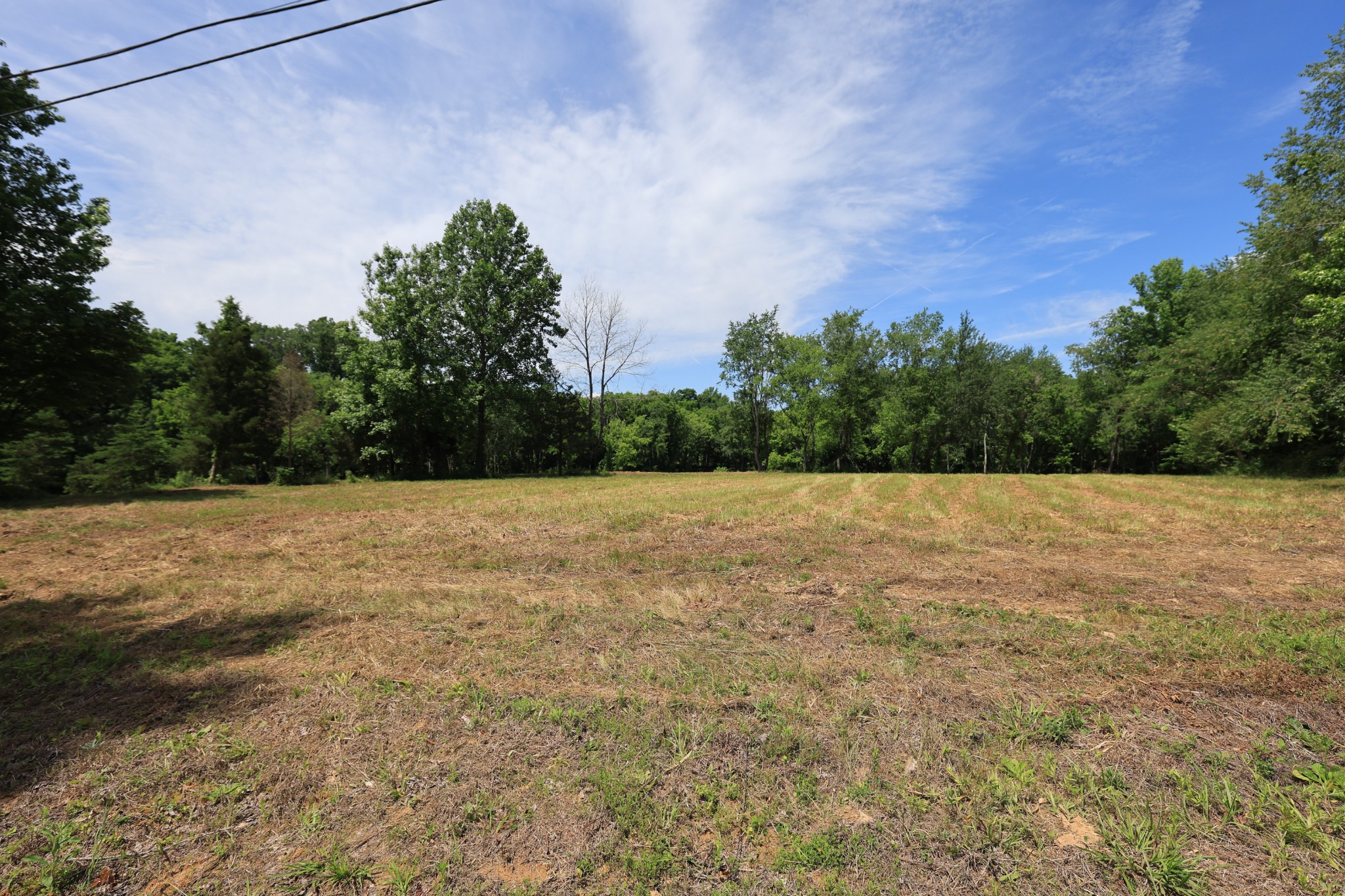 5 Poplar Ridge Lane Chapmansboro, TN 37035 - Photo 29 of 34 a view of a field with trees in the background