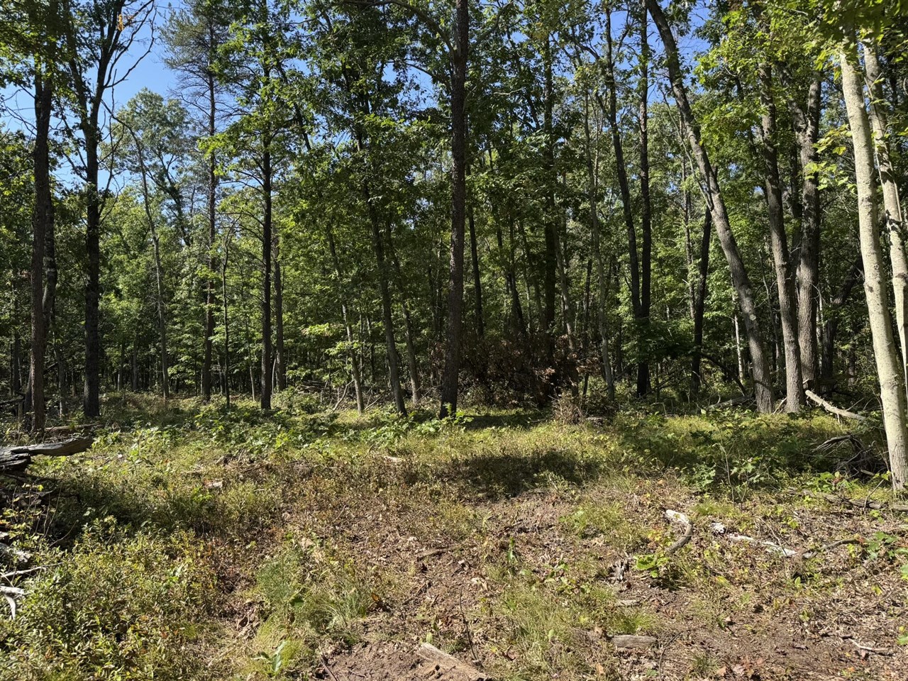 East County Line Road Manistee, MI 49660 - Photo 16 of 32