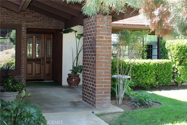 a view of a garden with a chair and potted plants