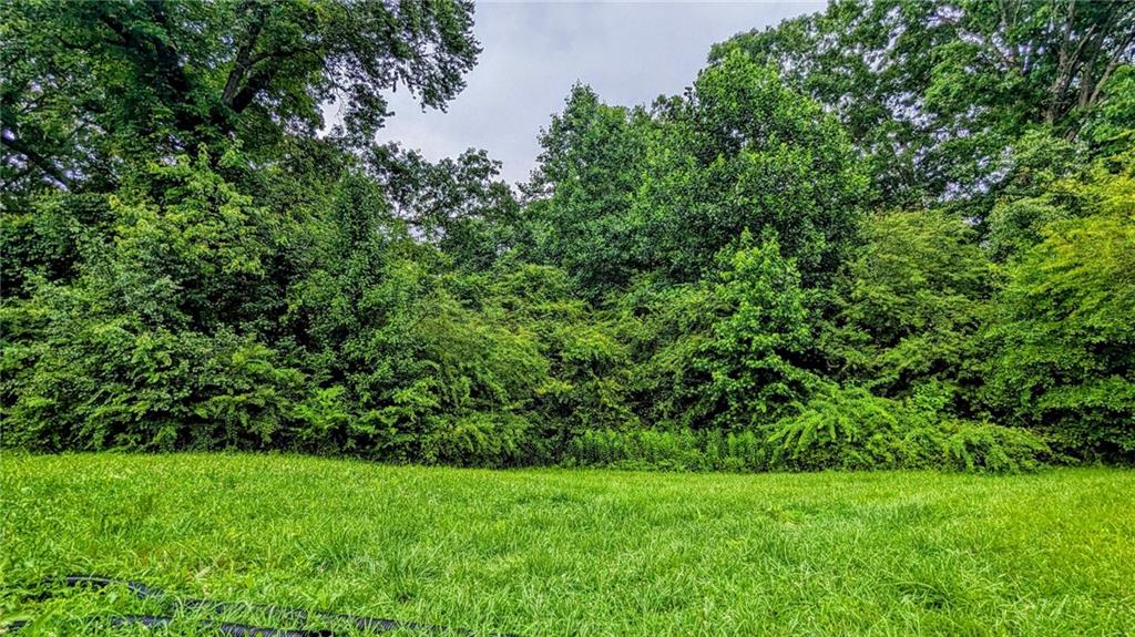 99 Center Grove Drive Cleveland, GA 30528 - Photo 4 of 24