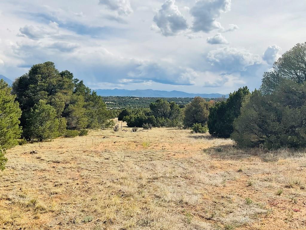 Lot 17 Navajo Ranch Walsenburg, CO 81089 - Photo 25 of 26 a view of a yard with trees in the background