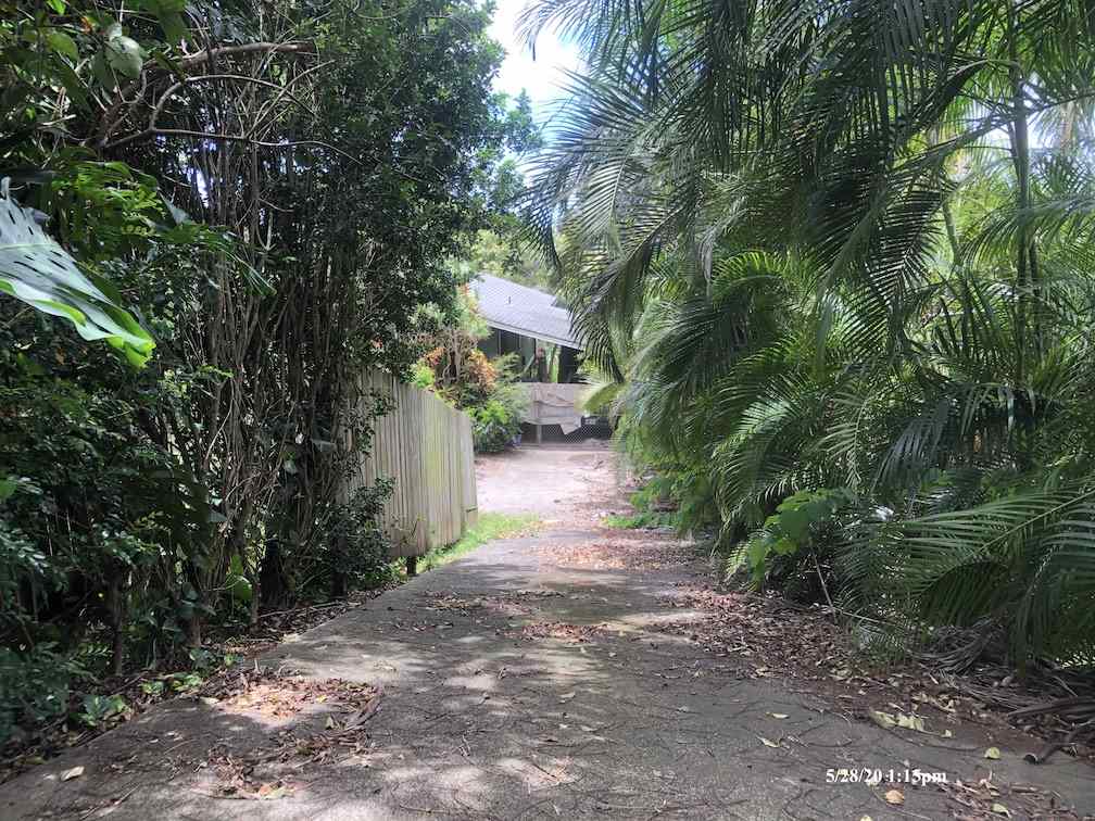 564 West Kuiaha Road Haiku, HI 96708 - Photo 3 of 6 a view of road and trees