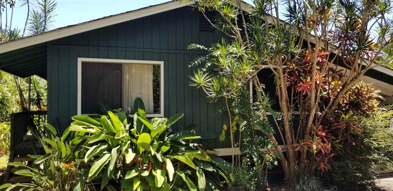 564 West Kuiaha Road Haiku, HI 96708 - Photo 6 of 6 a plant that is in front of a house