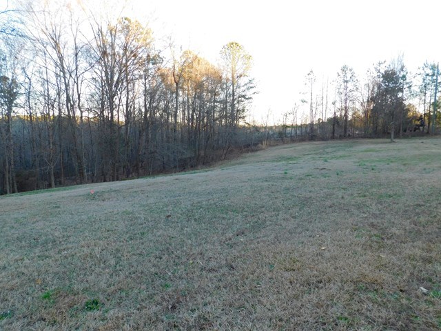 105 Benton Road Juliette, GA 31046 - Photo 15 of 19 a view of a open space with green field and trees