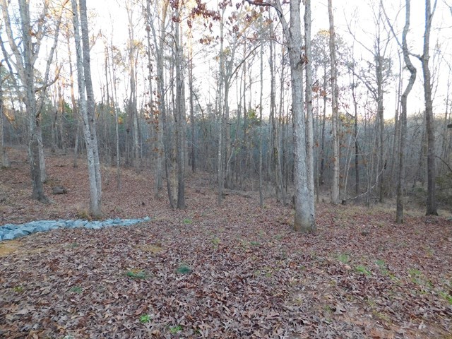 105 Benton Road Juliette, GA 31046 - Photo 17 of 19 a view of a room with trees in the background