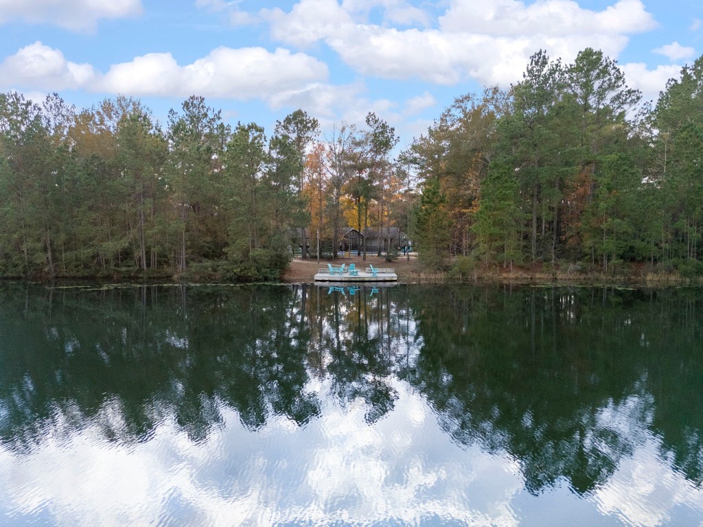 29001 Colin Court Waller, TX 77484 - Photo 46 of 47 a view of lake