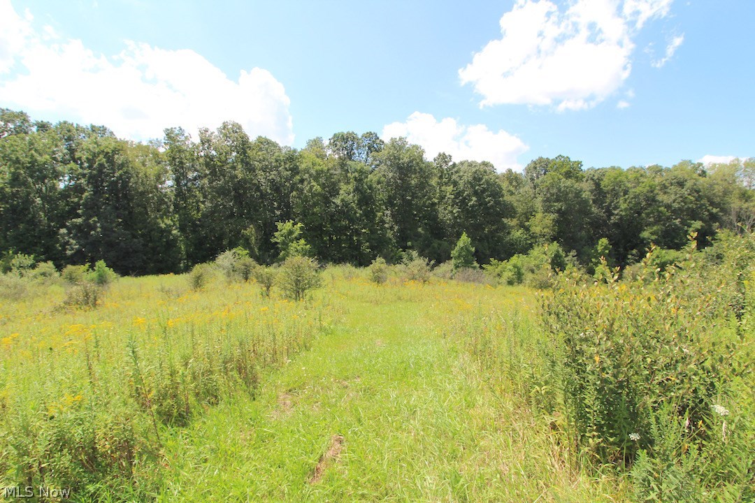 Delphi Road Freeport, OH 43973 - Photo 14 of 35 Gallery Image 14