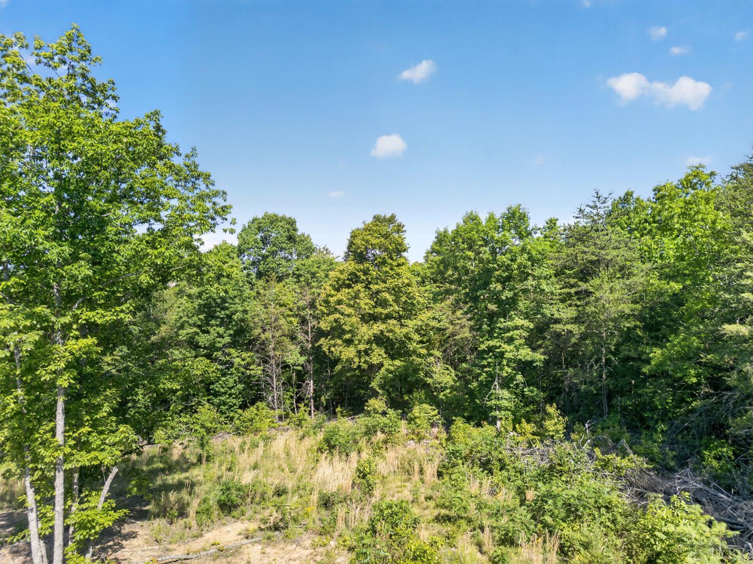 0 Mohawk Road Long Island, VA 24554 - Photo 4 of 23