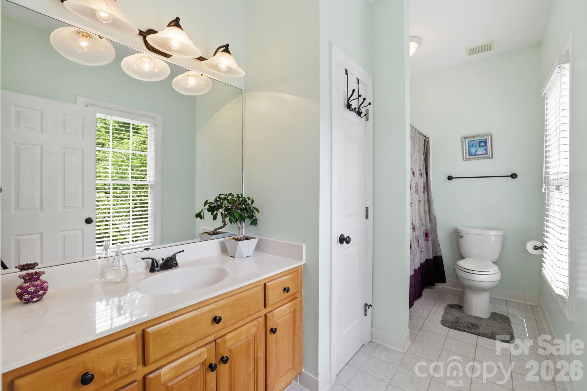 239 Sardis Pointe Road Matthews, NC 28105 - Photo 33 of 47 a bathroom with a granite countertop sink a toilet and a mirror
