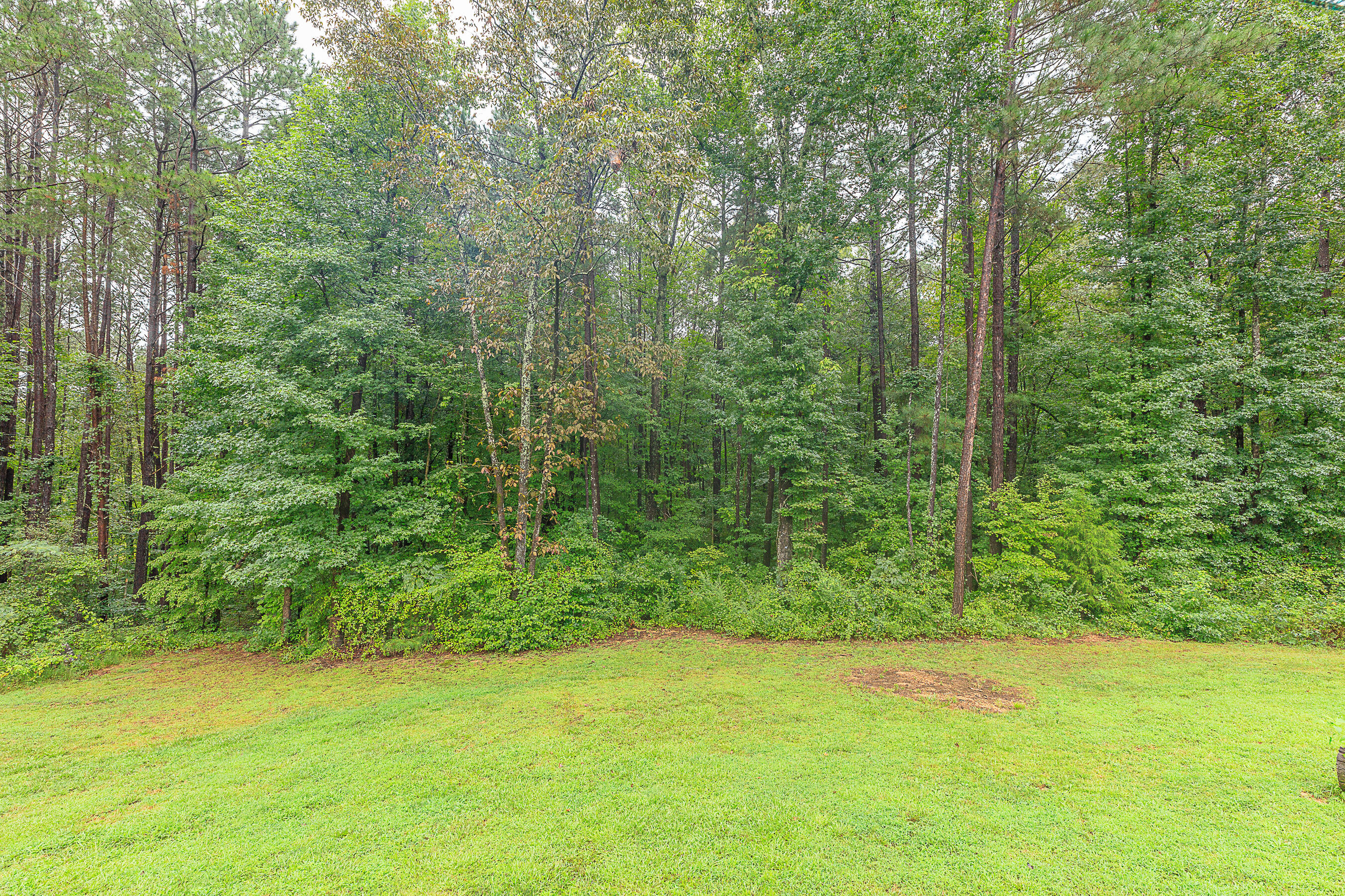 532 East Garden Farm Road Rossville, GA 30741 - Photo 8 of 33 532 East Garden Farm HD-11