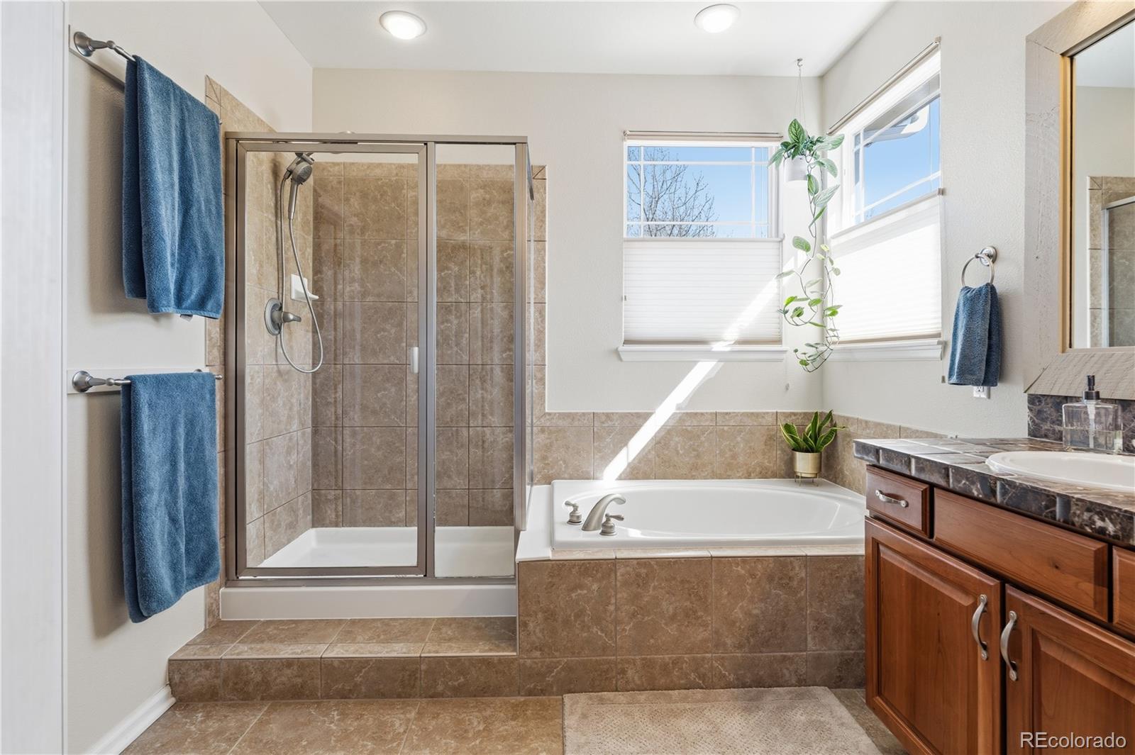 3200 Springbriar Drive Castle Rock, CO 80109 - Photo 28 of 44