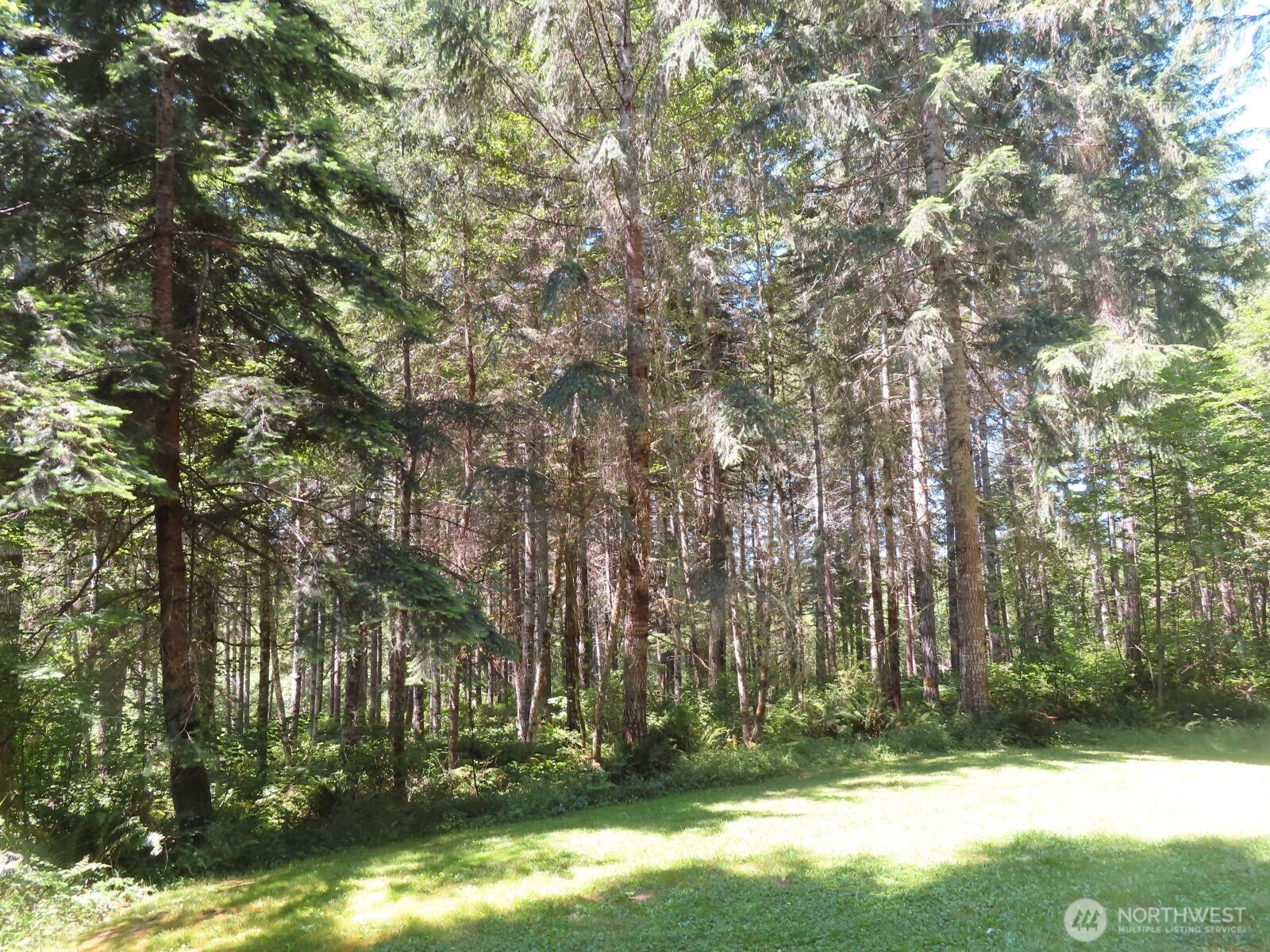 419 Meskill Road Chehalis, WA 98532 - Photo 39 of 40 Gallery Image 39