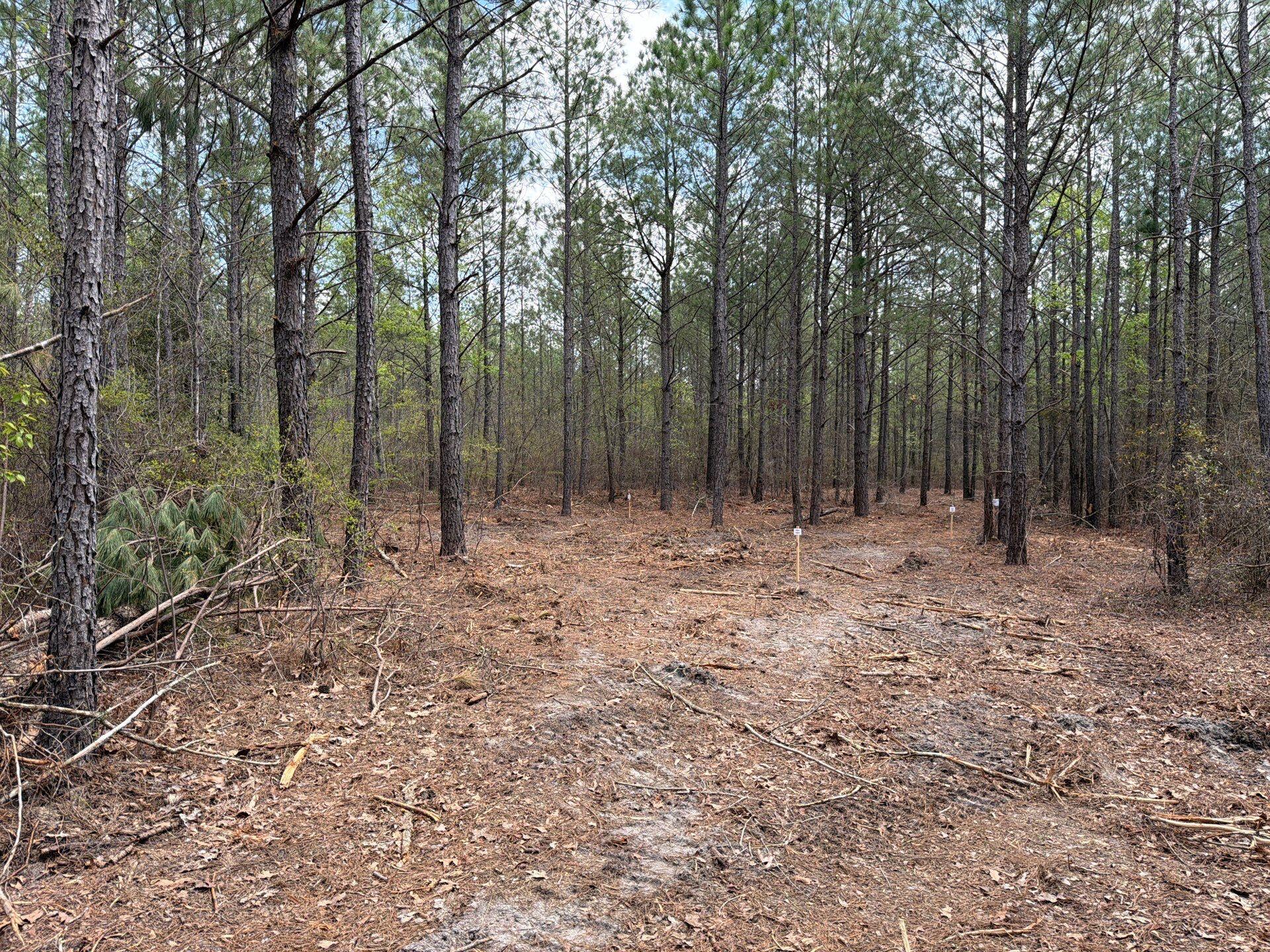 1 Mt Calvary Rd Ridge Spring, Unit CVA 1 Ridge Spring, SC 29129 - Photo 11 of 47 11-Mar 26 2026 04_32pm-eEXy