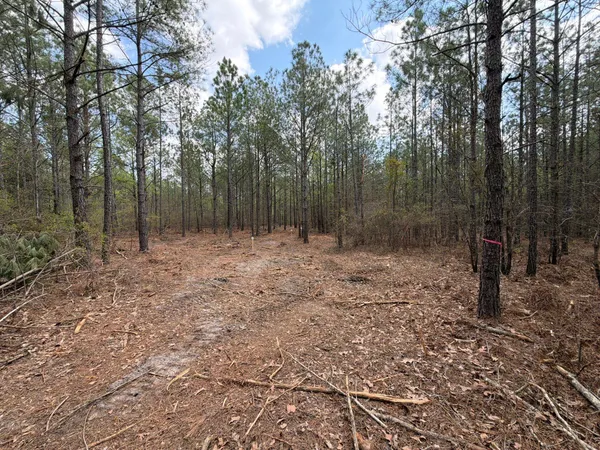 $119,900 | 1 Mt Calvary Rd Ridge Spring, Unit CVA 1, Ridge Spring, SC 29129