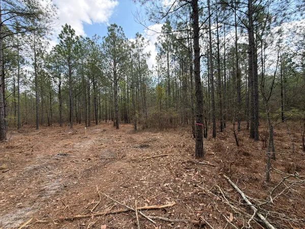 $119,900 | 1 Mt Calvary Rd Ridge Spring, Unit CVA 1, Ridge Spring, SC 29129