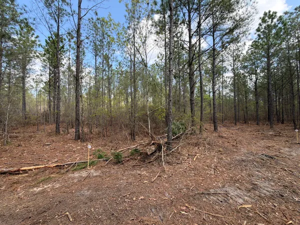 $119,900 | 1 Mt Calvary Rd Ridge Spring, Unit CVA 1, Ridge Spring, SC 29129