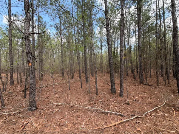 $119,900 | 1 Mt Calvary Rd Ridge Spring, Unit CVA 1, Ridge Spring, SC 29129