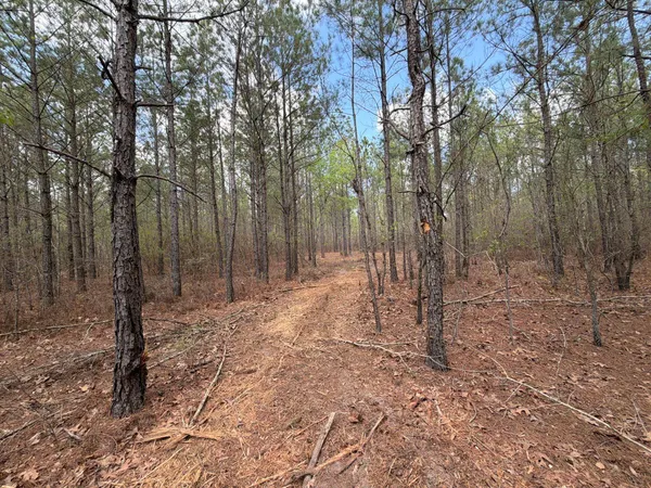 $119,900 | 1 Mt Calvary Rd Ridge Spring, Unit CVA 1, Ridge Spring, SC 29129