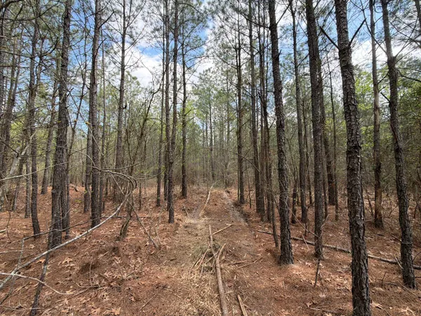 $119,900 | 1 Mt Calvary Rd Ridge Spring, Unit CVA 1, Ridge Spring, SC 29129