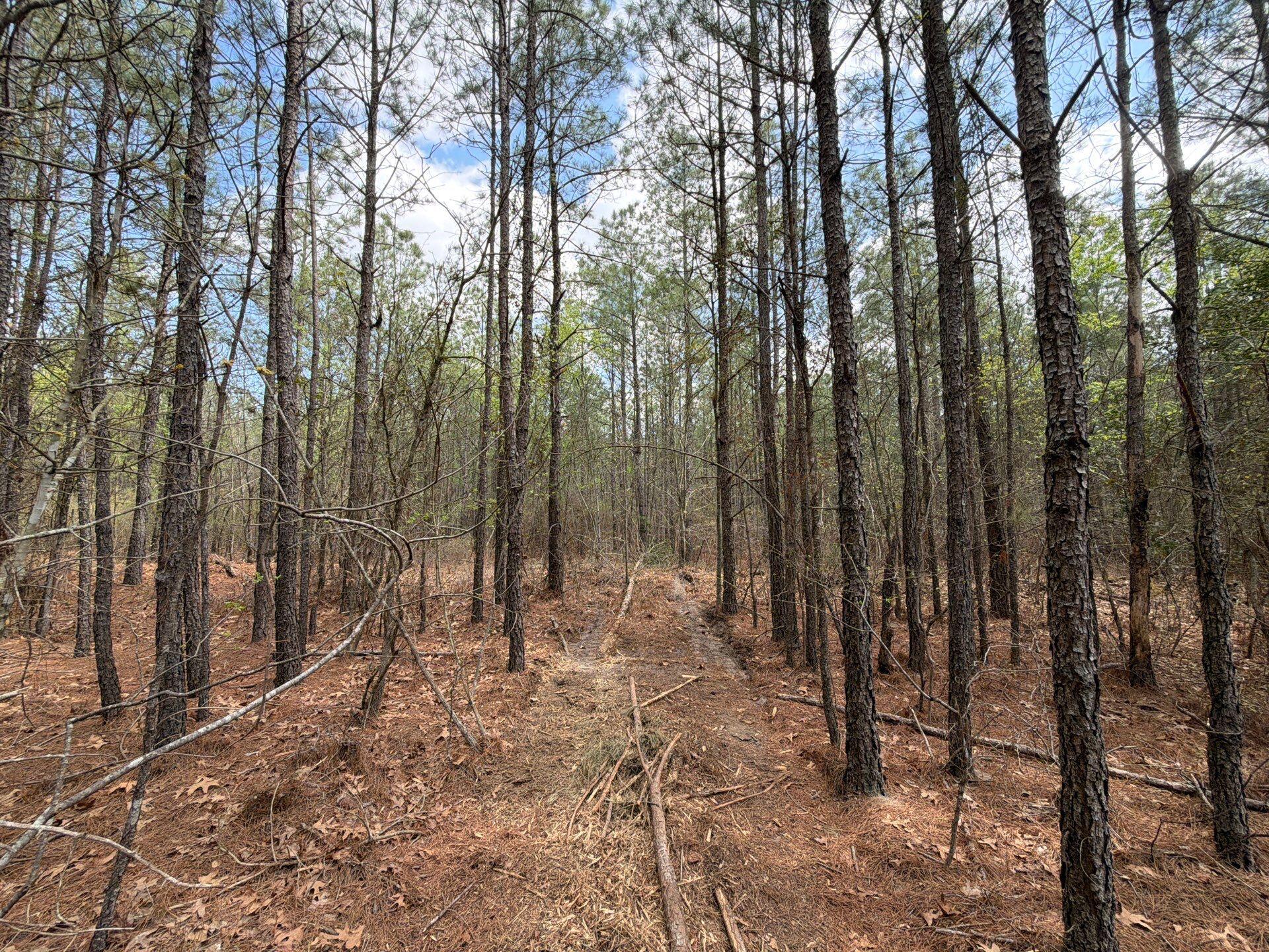 1 Mt Calvary Rd Ridge Spring, Unit CVA 1 Ridge Spring, SC 29129 - Photo 19 of 47 19-Mar 26 2026 04_34pm-Zcui