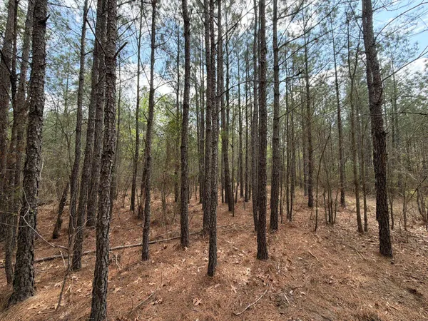 $119,900 | 1 Mt Calvary Rd Ridge Spring, Unit CVA 1, Ridge Spring, SC 29129