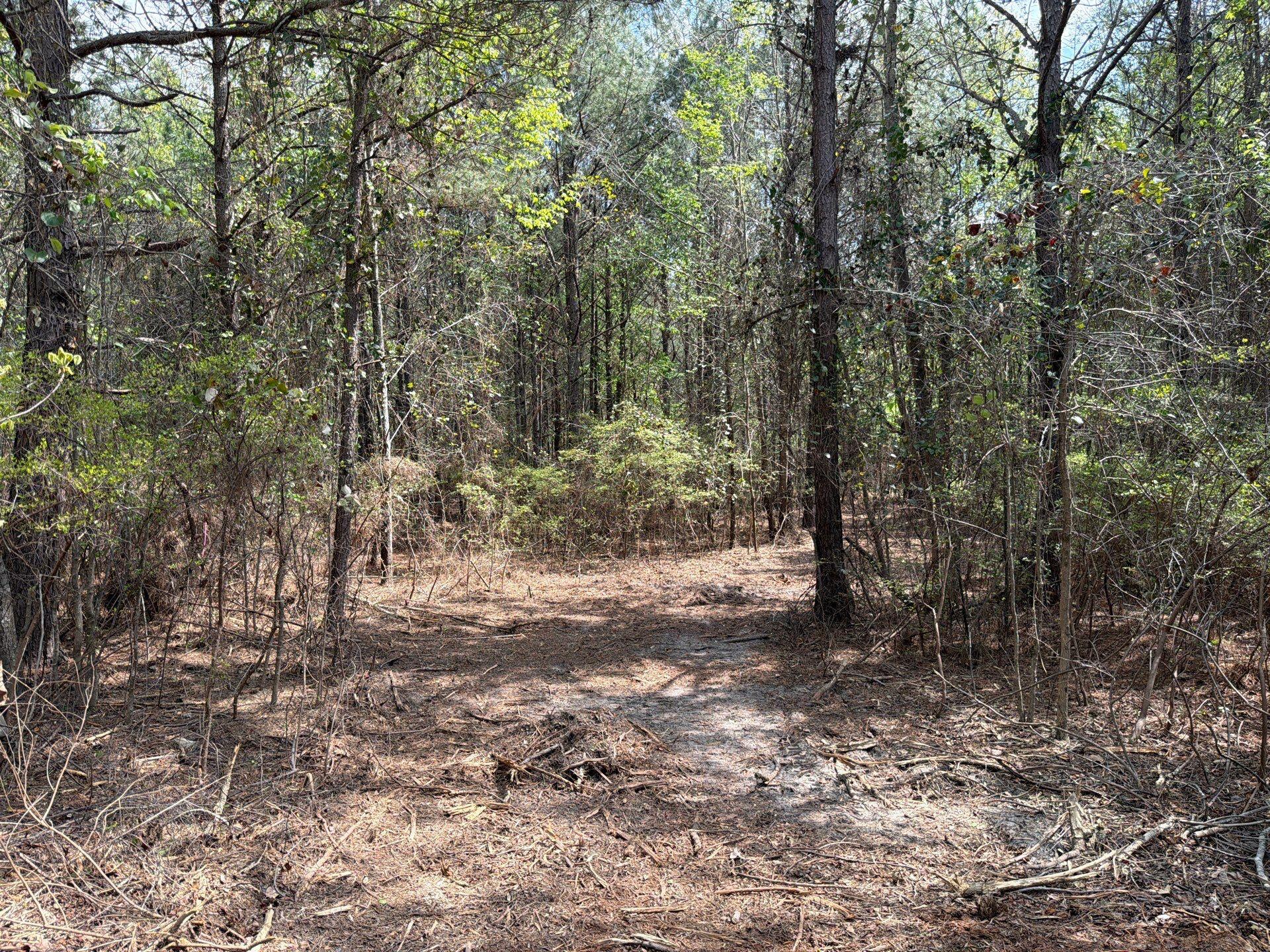 1 Mt Calvary Rd Ridge Spring, Unit CVA 1 Ridge Spring, SC 29129 - Photo 2 of 47 2-Mar 26 2026 04_24pm-fgJ6