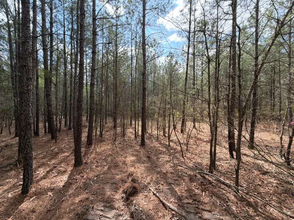 $119,900 | 1 Mt Calvary Rd Ridge Spring, Unit CVA 1, Ridge Spring, SC 29129