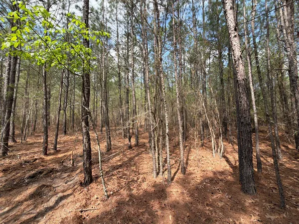 $119,900 | 1 Mt Calvary Rd Ridge Spring, Unit CVA 1, Ridge Spring, SC 29129