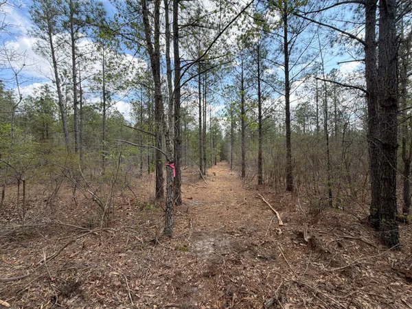 $119,900 | 1 Mt Calvary Rd Ridge Spring, Unit CVA 1, Ridge Spring, SC 29129