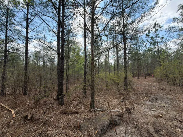 $119,900 | 1 Mt Calvary Rd Ridge Spring, Unit CVA 1, Ridge Spring, SC 29129