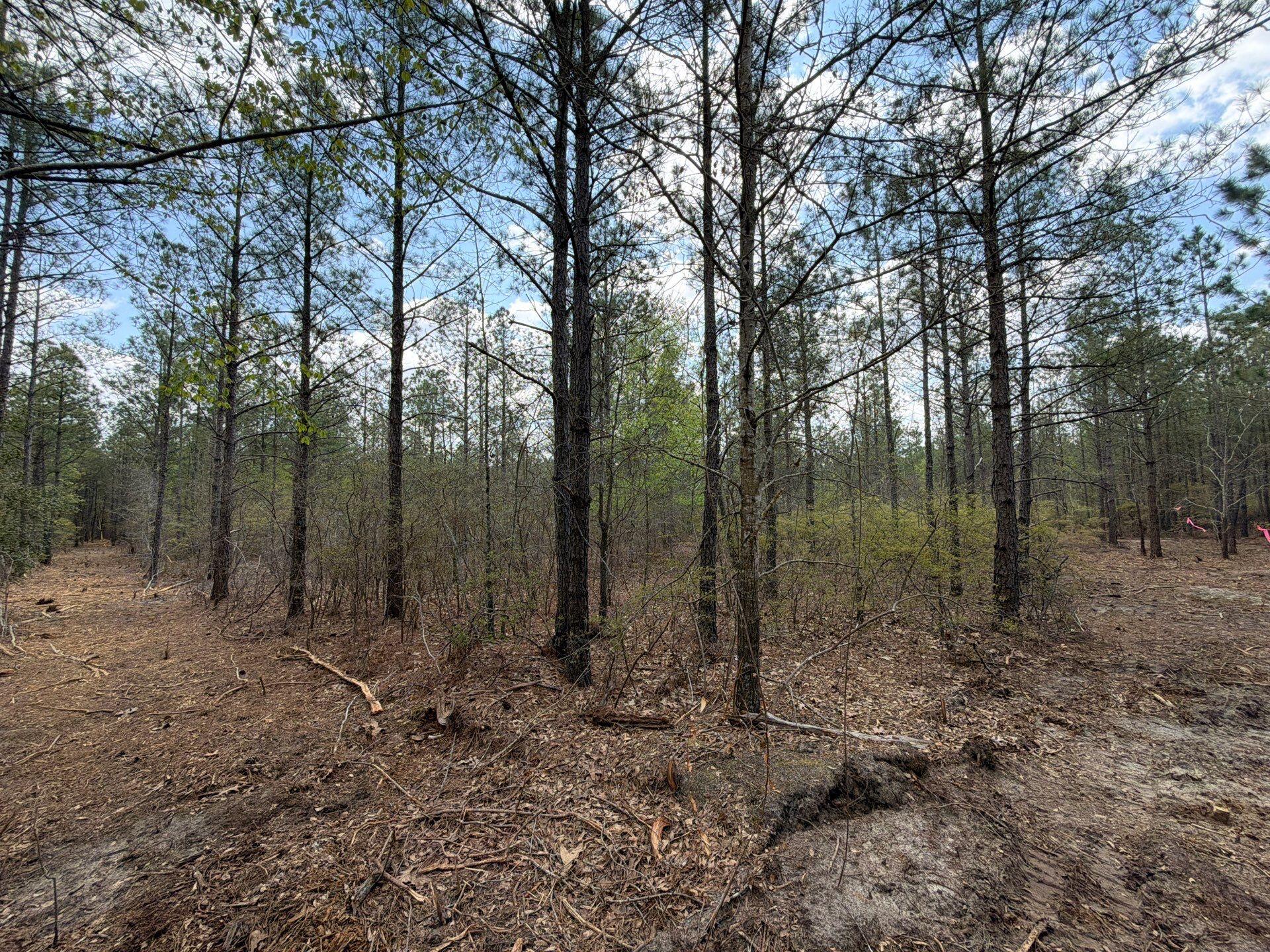 1 Mt Calvary Rd Ridge Spring, Unit CVA 1 Ridge Spring, SC 29129 - Photo 28 of 47 28-Mar 26 2026 04_44pm-gAUf