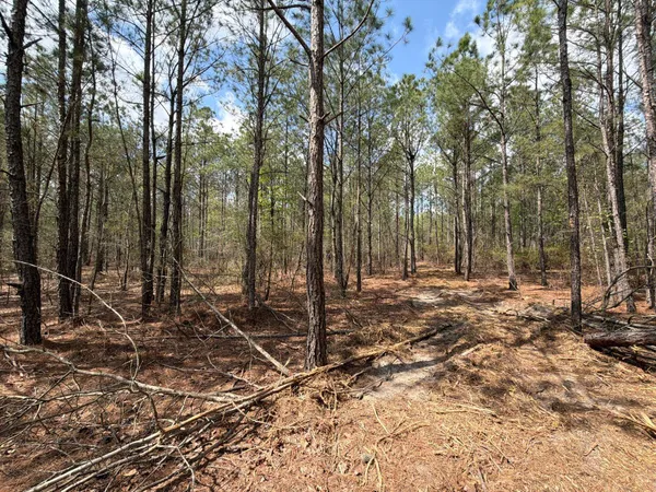 $119,900 | 1 Mt Calvary Rd Ridge Spring, Unit CVA 1, Ridge Spring, SC 29129