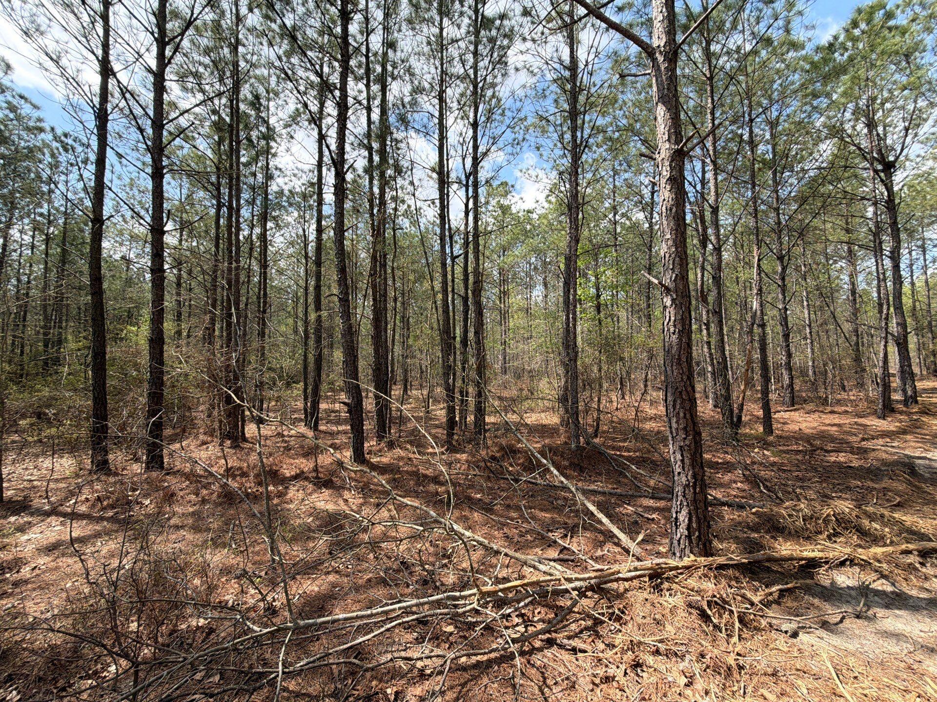 1 Mt Calvary Rd Ridge Spring, Unit CVA 1 Ridge Spring, SC 29129 - Photo 30 of 47 30-Mar 26 2026 04_47pm-tEon