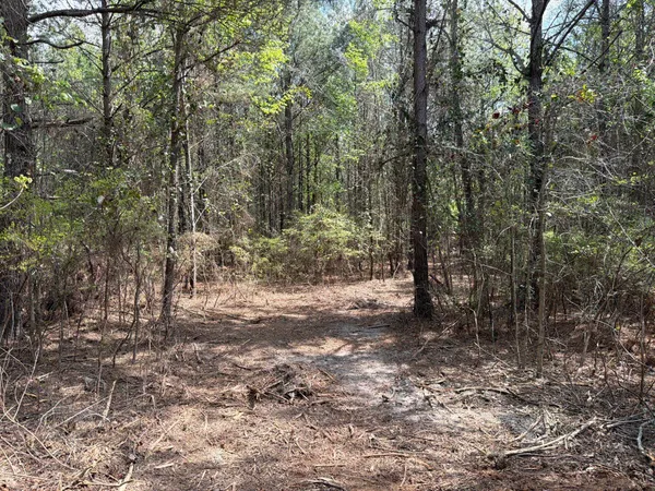 $119,900 | 1 Mt Calvary Rd Ridge Spring, Unit CVA 1, Ridge Spring, SC 29129