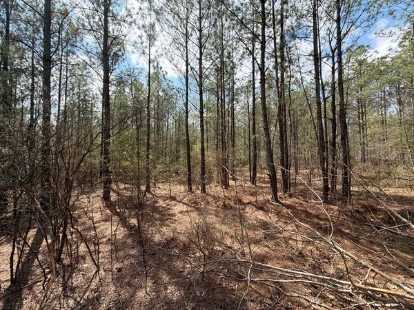 $119,900 | 1 Mt Calvary Rd Ridge Spring, Unit CVA 1, Ridge Spring, SC 29129