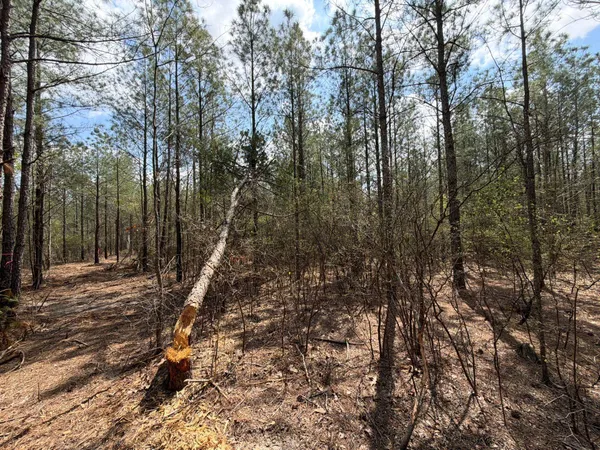 $119,900 | 1 Mt Calvary Rd Ridge Spring, Unit CVA 1, Ridge Spring, SC 29129