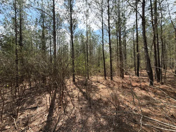 $119,900 | 1 Mt Calvary Rd Ridge Spring, Unit CVA 1, Ridge Spring, SC 29129