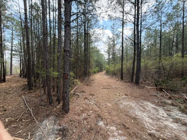 $119,900 | 1 Mt Calvary Rd Ridge Spring, Unit CVA 1, Ridge Spring, SC 29129