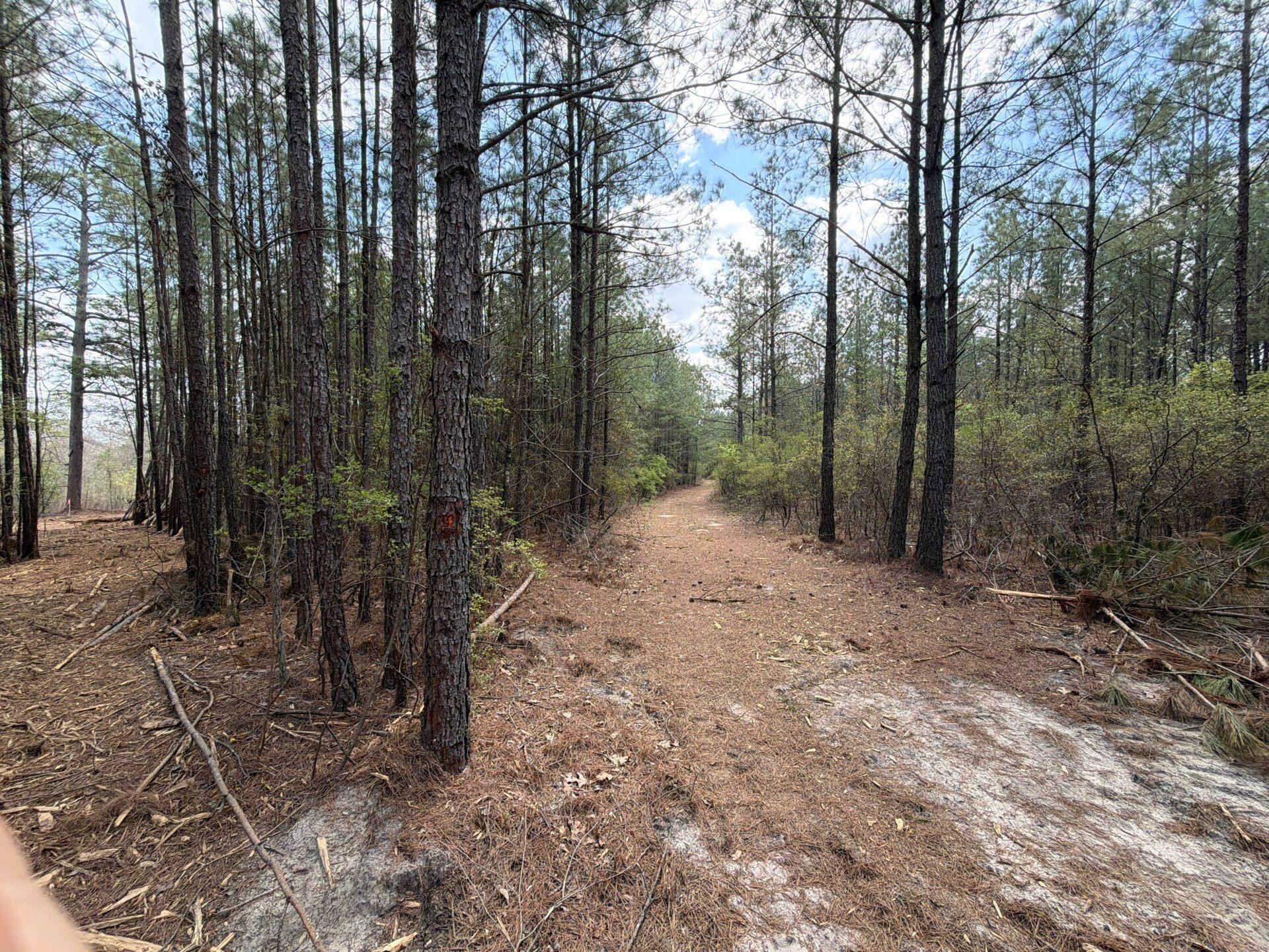 1 Mt Calvary Rd Ridge Spring, Unit CVA 1 Ridge Spring, SC 29129 - Photo 37 of 47 37-Mar 26 2026 04_49pm-oTZj